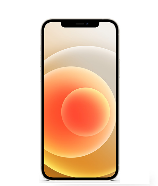 iPhone 12 Pro Reparatur